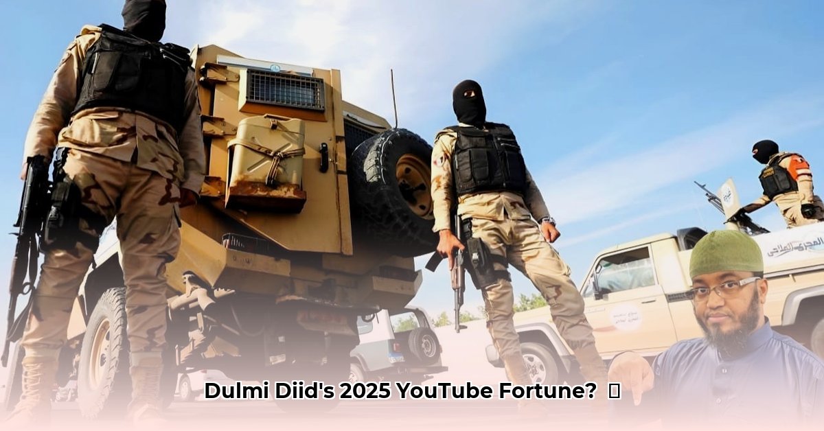 dulmi-diid-net-worth